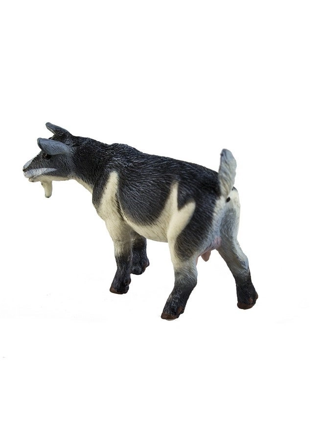 Safari Farm - Pygmy Nanny Goat
