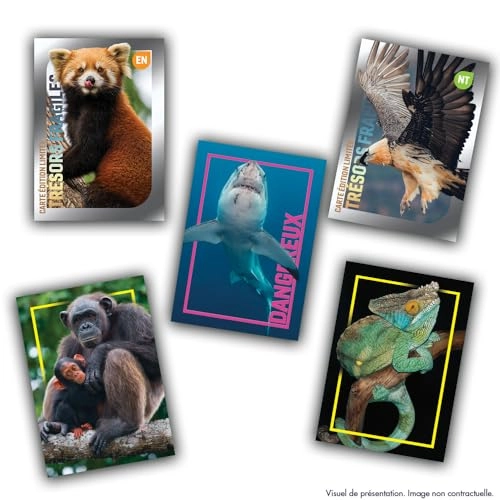 National Geographic Kids Trading Cards - 24pcs + 2 special cards