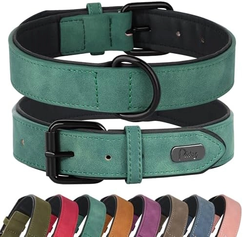 Didog Soft Padded Leather Dog Collar - XL Dogs