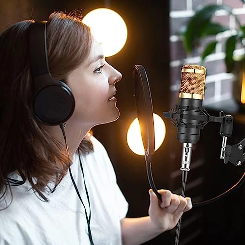 BM800 USB Microphone Set