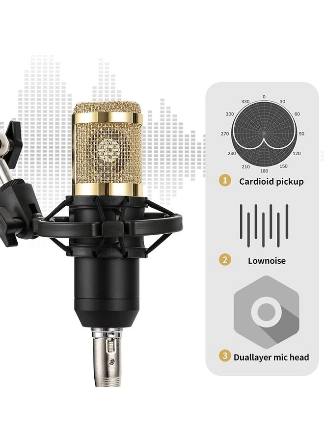BM-800 + Live Sound Card Wired Microphone