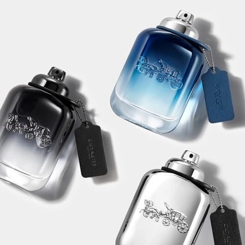 Platinum Eau de Parfum - 60 ml