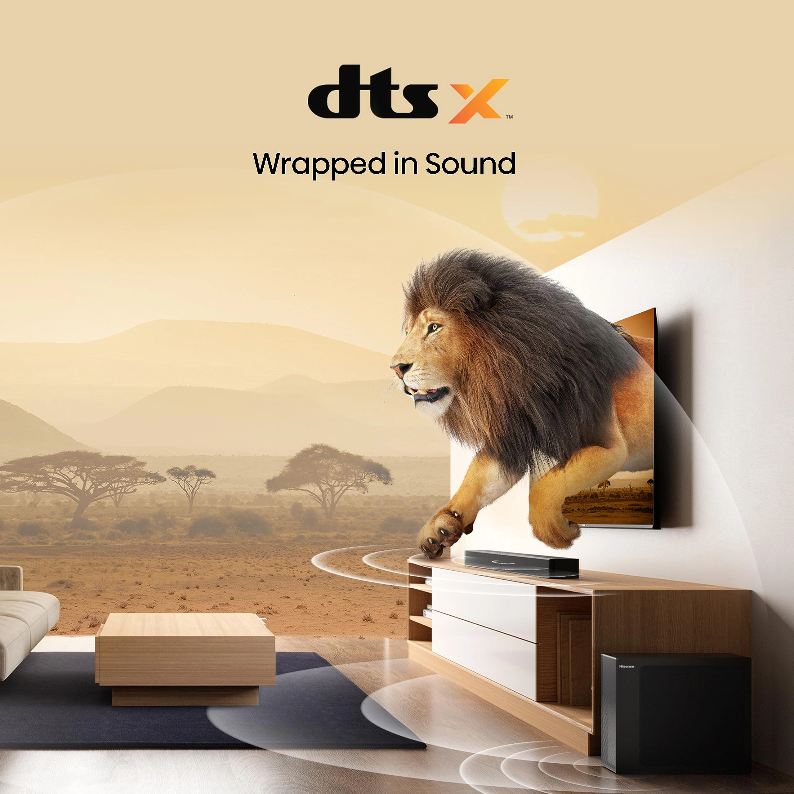 E77K - 50 INCH + HS2100