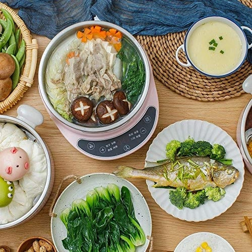 Multi-function electric steamer - 4 Liters