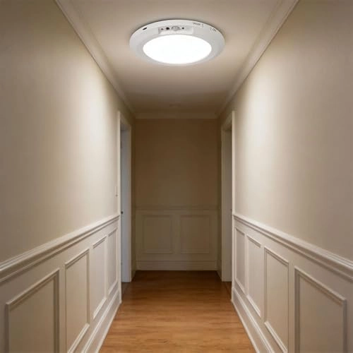 Motion Sensor Ceiling Light - 3 color temperatures Dimmable