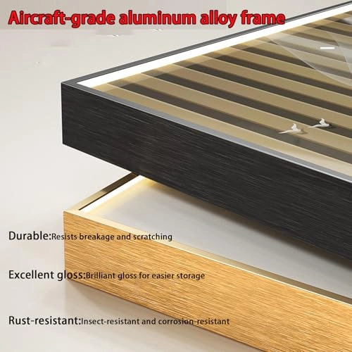 Display Wall Plate (42141) - 80 x 50 cm