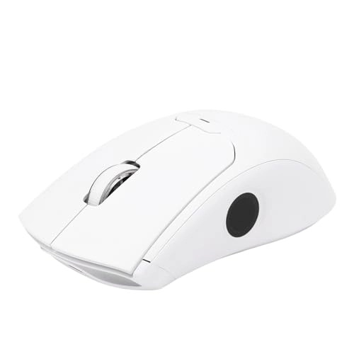 Wireless Mouse Fingerprint Reader - 2.4G BT5.0 USB