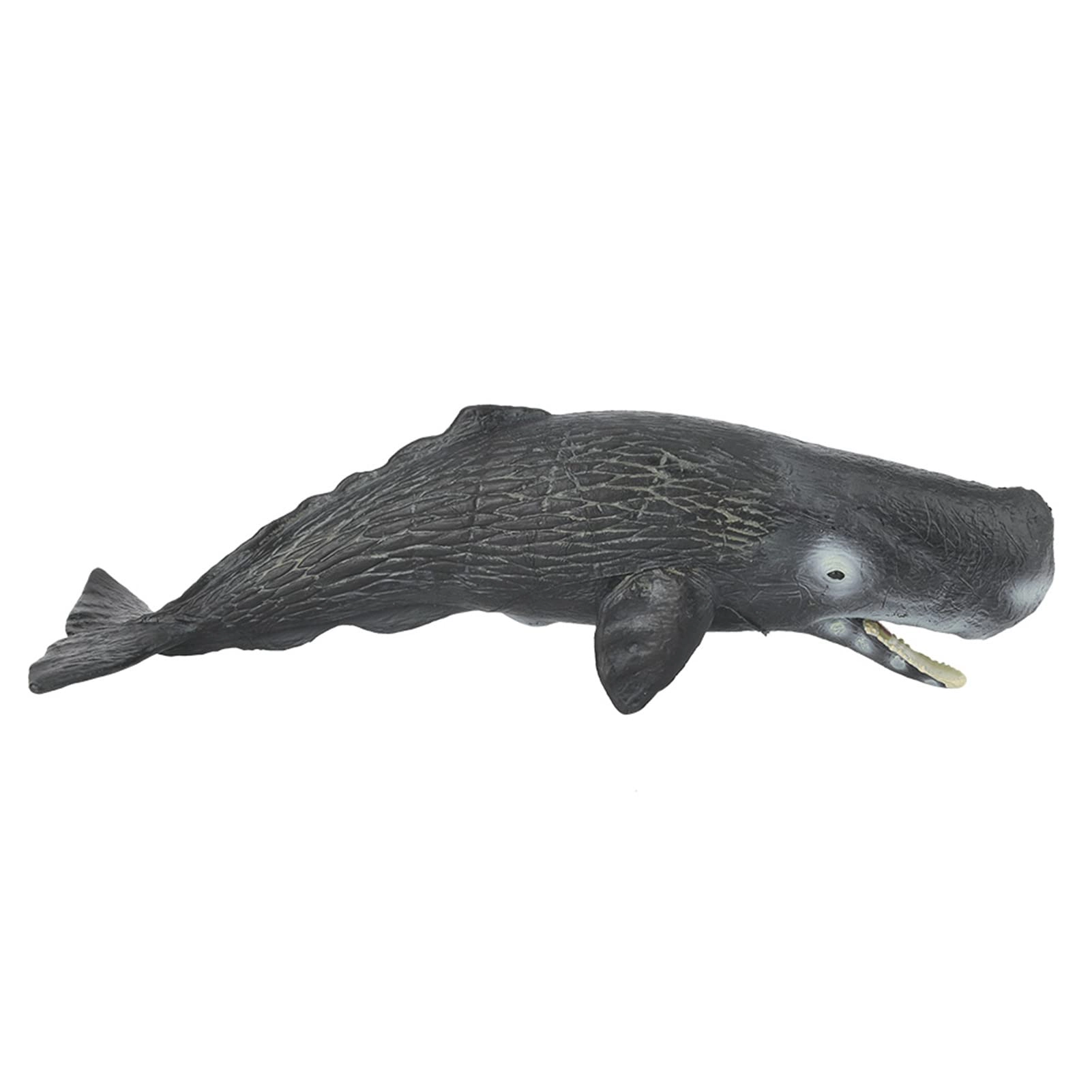 Sorandy Sperm Whale Animal Model - 18 months - 3 years