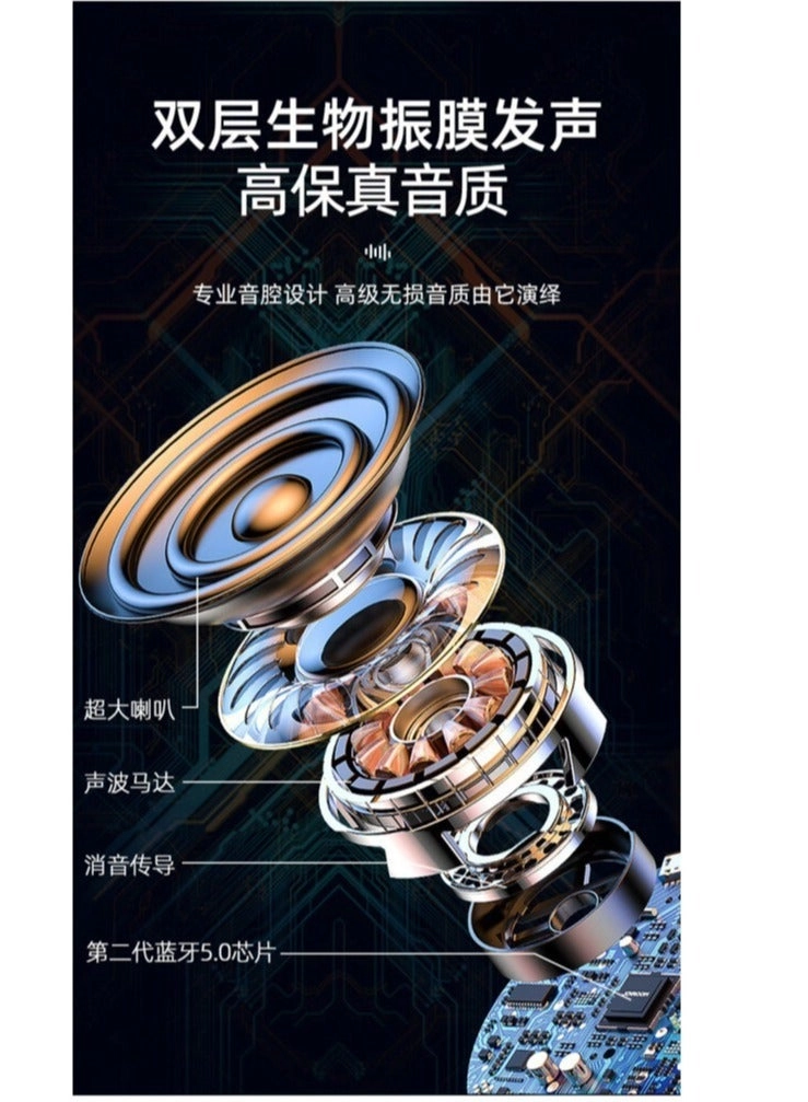 YS-207 - Dual Microphones