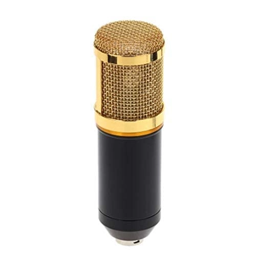 BM-800 3.5mm-Mini-Jack Microphone