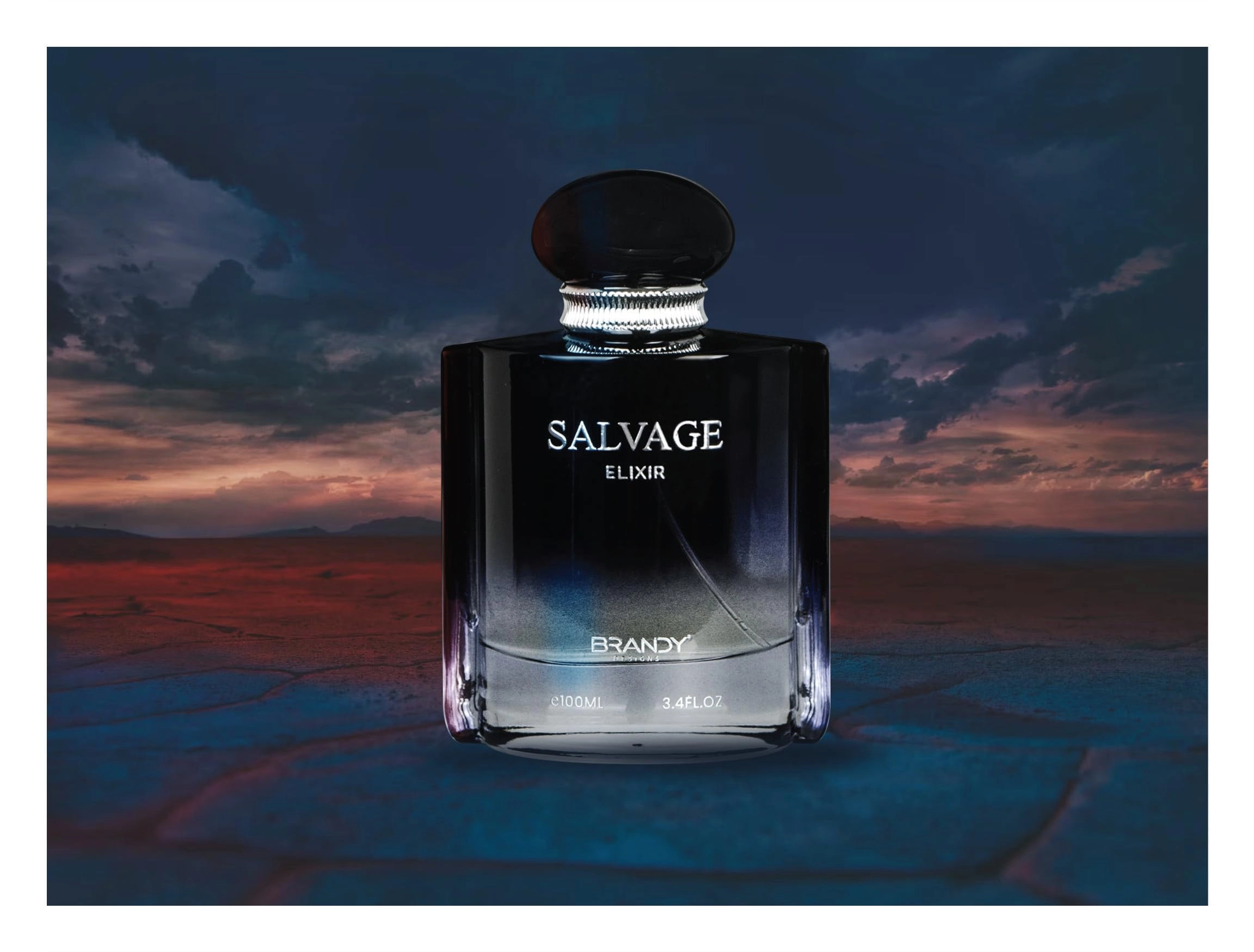 Brandy Designs Salvage Elixir - Eau de Parfum 3.4 Fluid Ounces