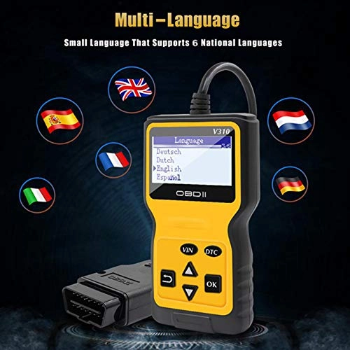 V310