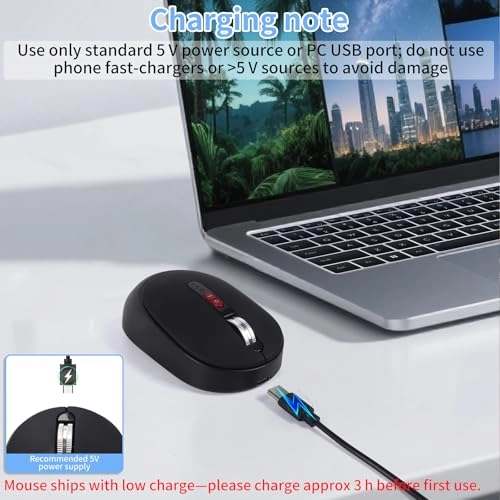 Ergonomic Vertical Mouse - Bluetooth