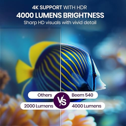 Beem 540 POR-2313 4000 Lumens