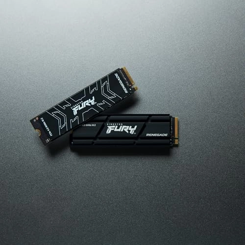 FURY Renegade - 1000GB M 2