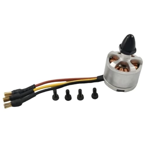 Brushless Motor