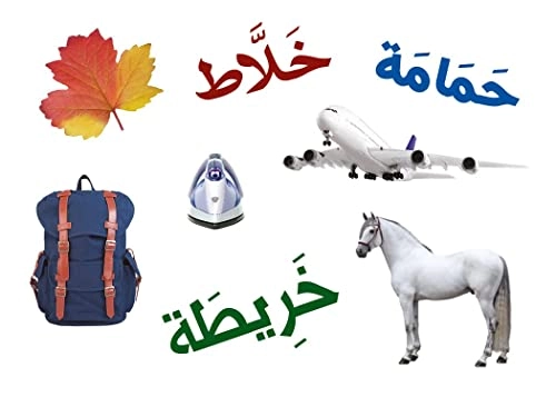 BADIHA Intuition - All Ages 55 pieces