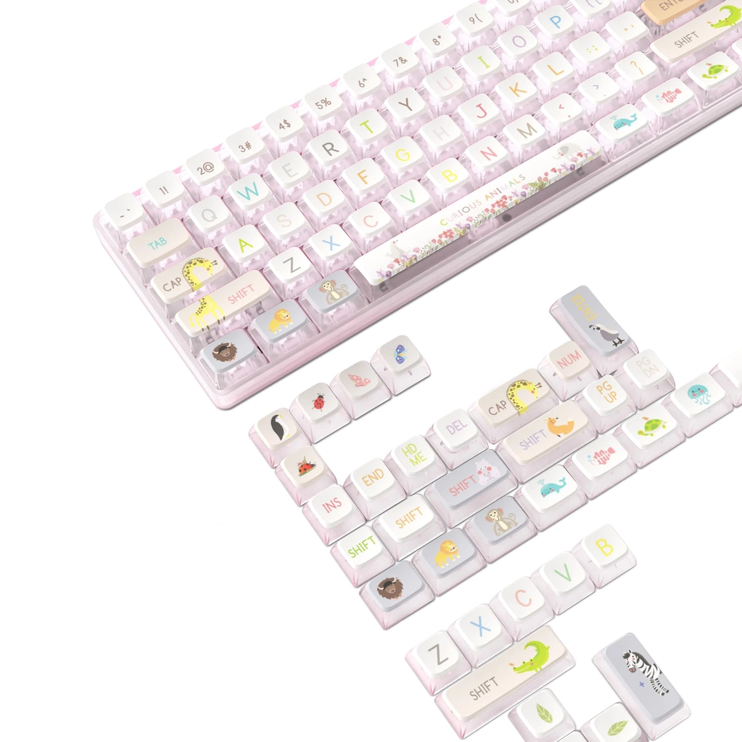 MAMBASNAKE 120 Keys PBT Pudding Keycaps Set - ANSI US Layout RF