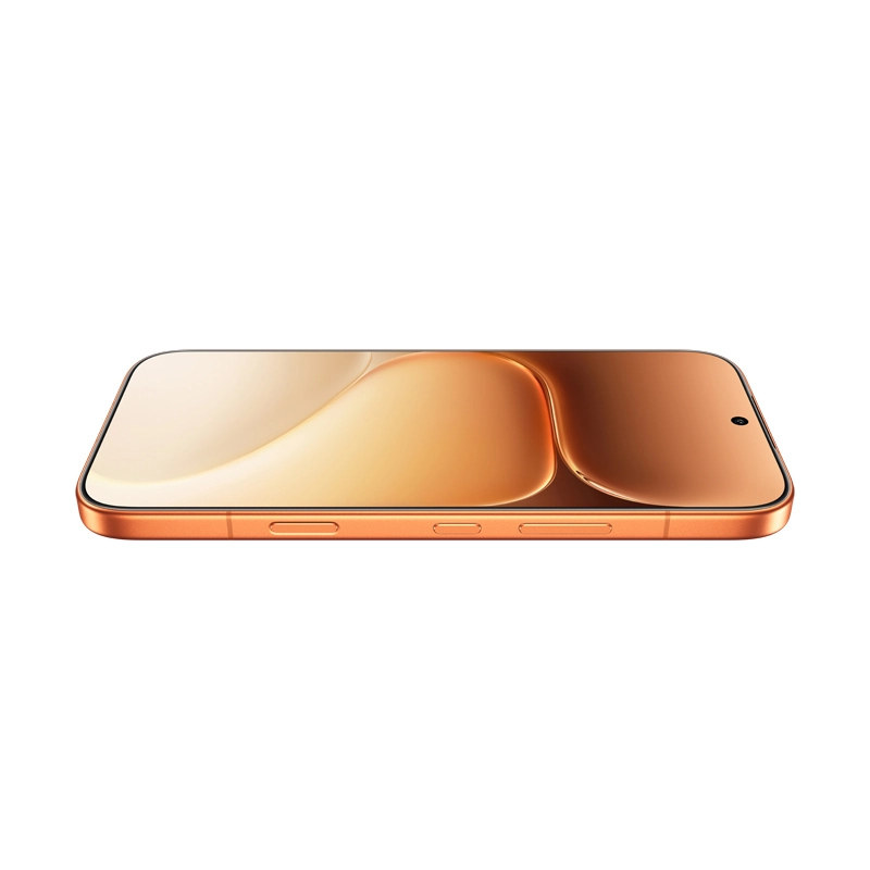 600 pro 12GB 512GB
