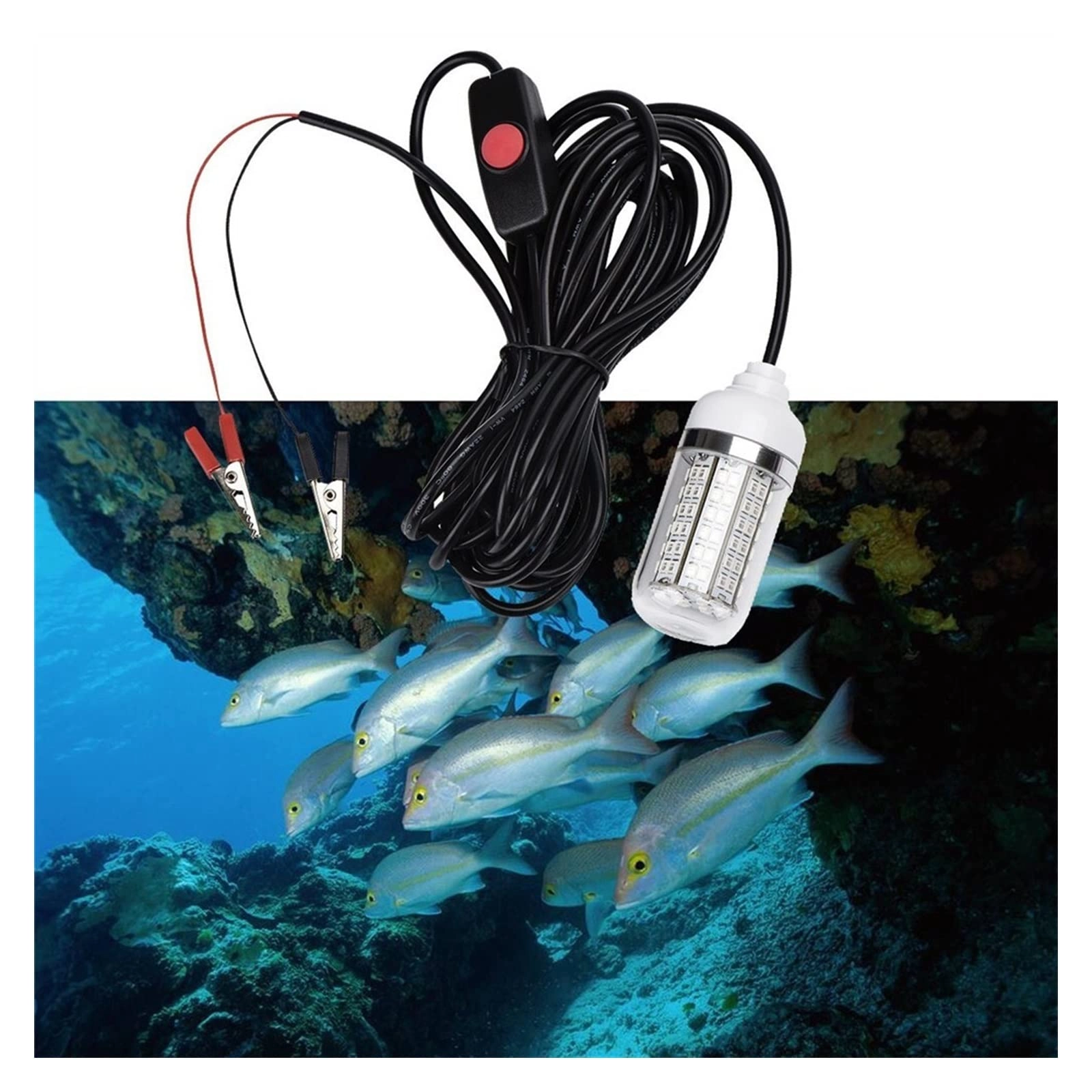 Pond Submersible Lights