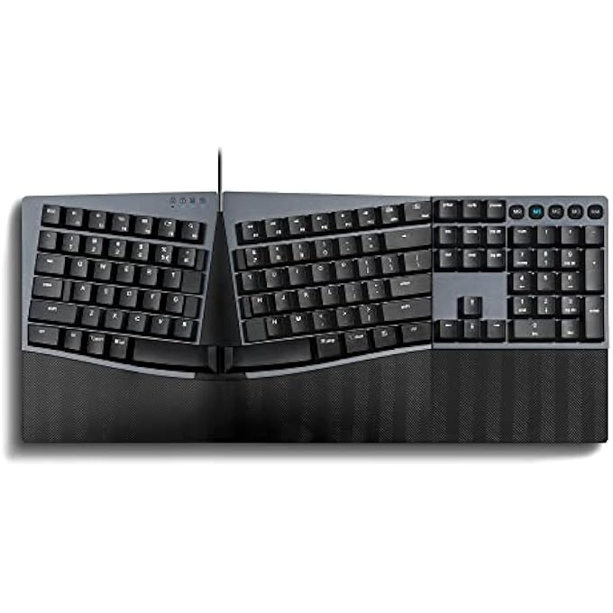 rayihni PERIBOARD-535 - US Wired