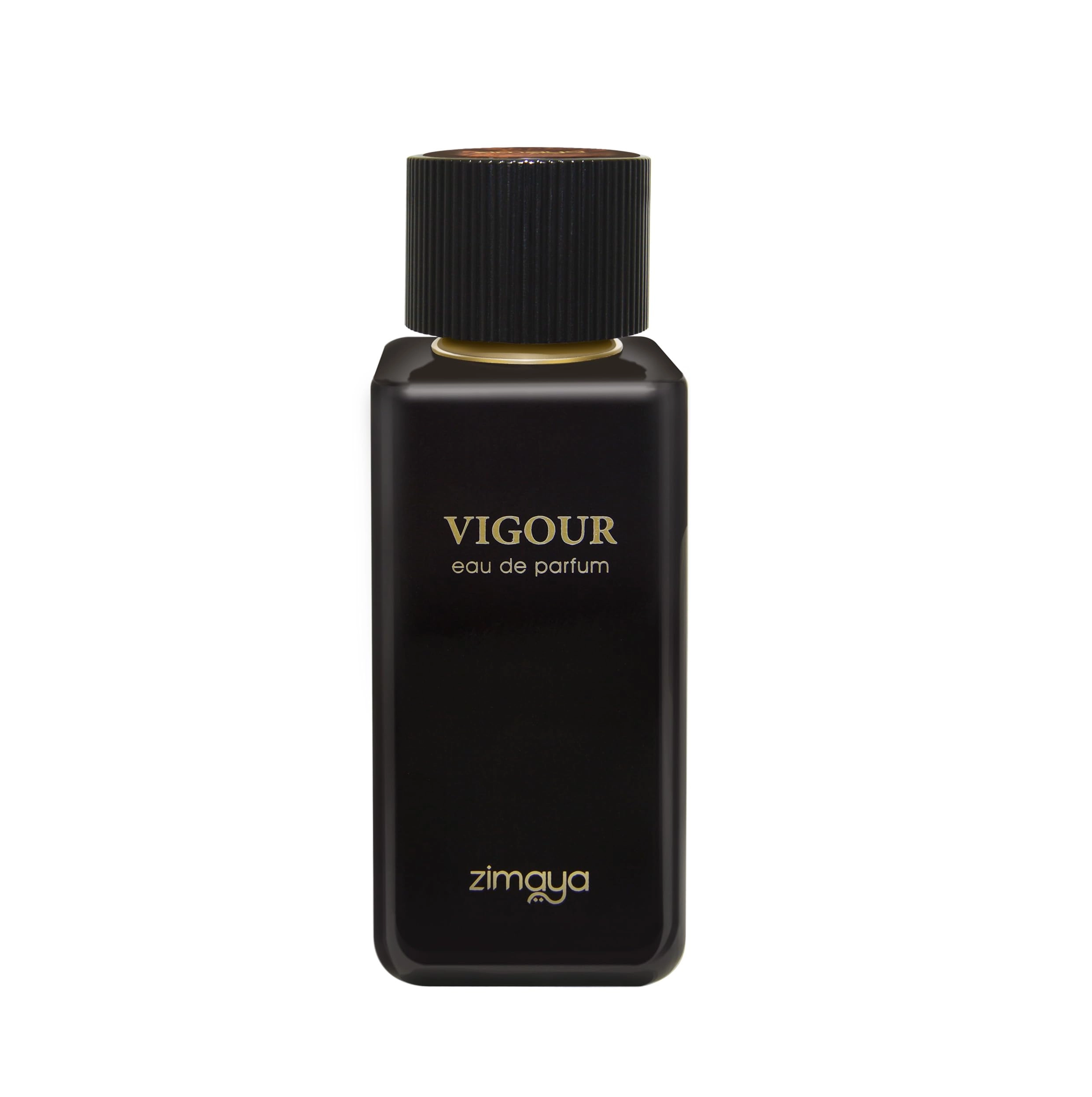 Afnan Perfumes LLC Vigour Eau de Parfum - 100ml