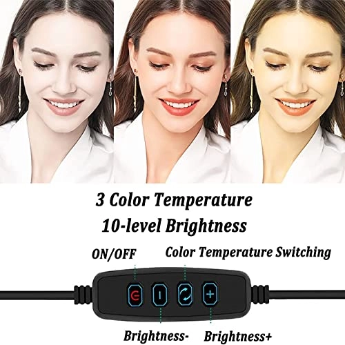 LED Ring Light - 16cm/6.3" 20cm/7.87"