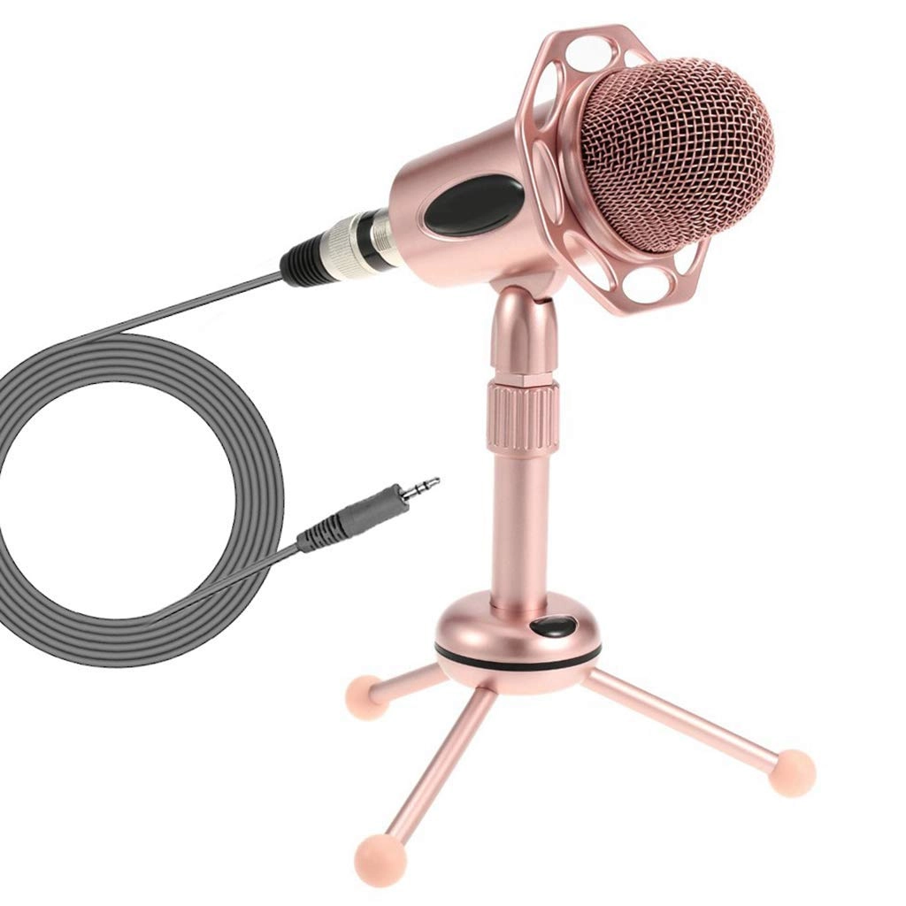 DANYQSM CXBHNSBNgfs412563 3.5mm-Mini-Jack Microphone