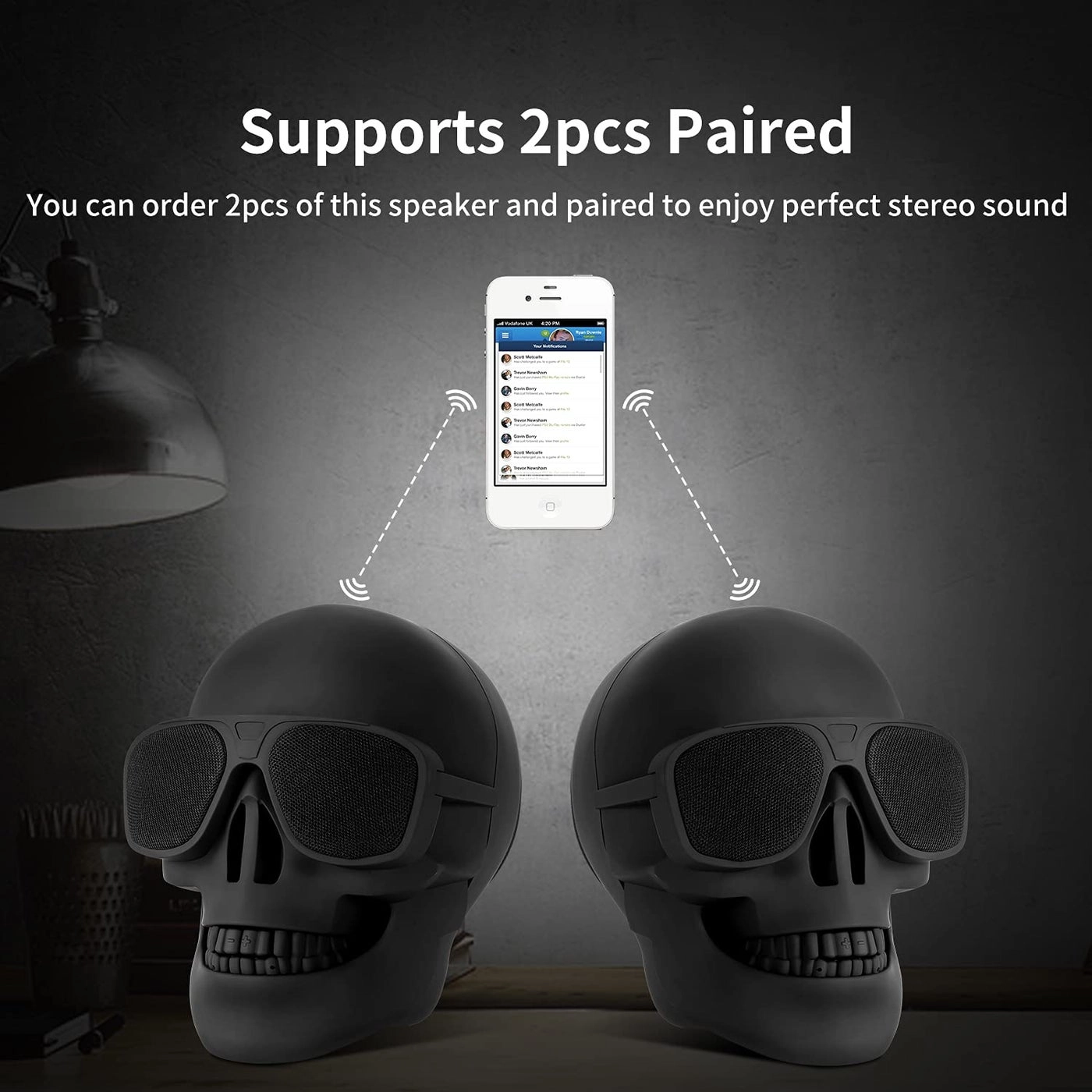 Skull Speaker