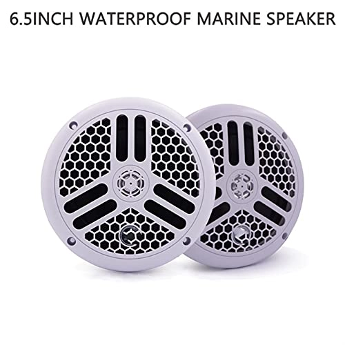 Outdoor Wireless Speaker - 6.5" 120W