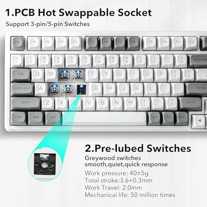 Z-99 - Full Layout Wired