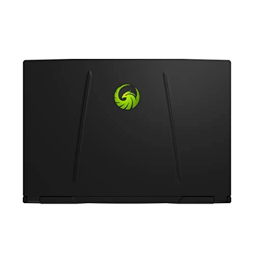 Alpha 17 A4DEK-011 - 17.3'' Ryzen 7 4800H 16GB DDR4 1TB SSD