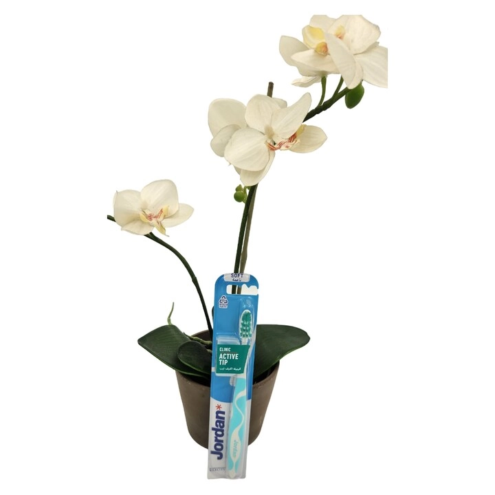Clinic Active Tip - Soft 1-Piece Pack