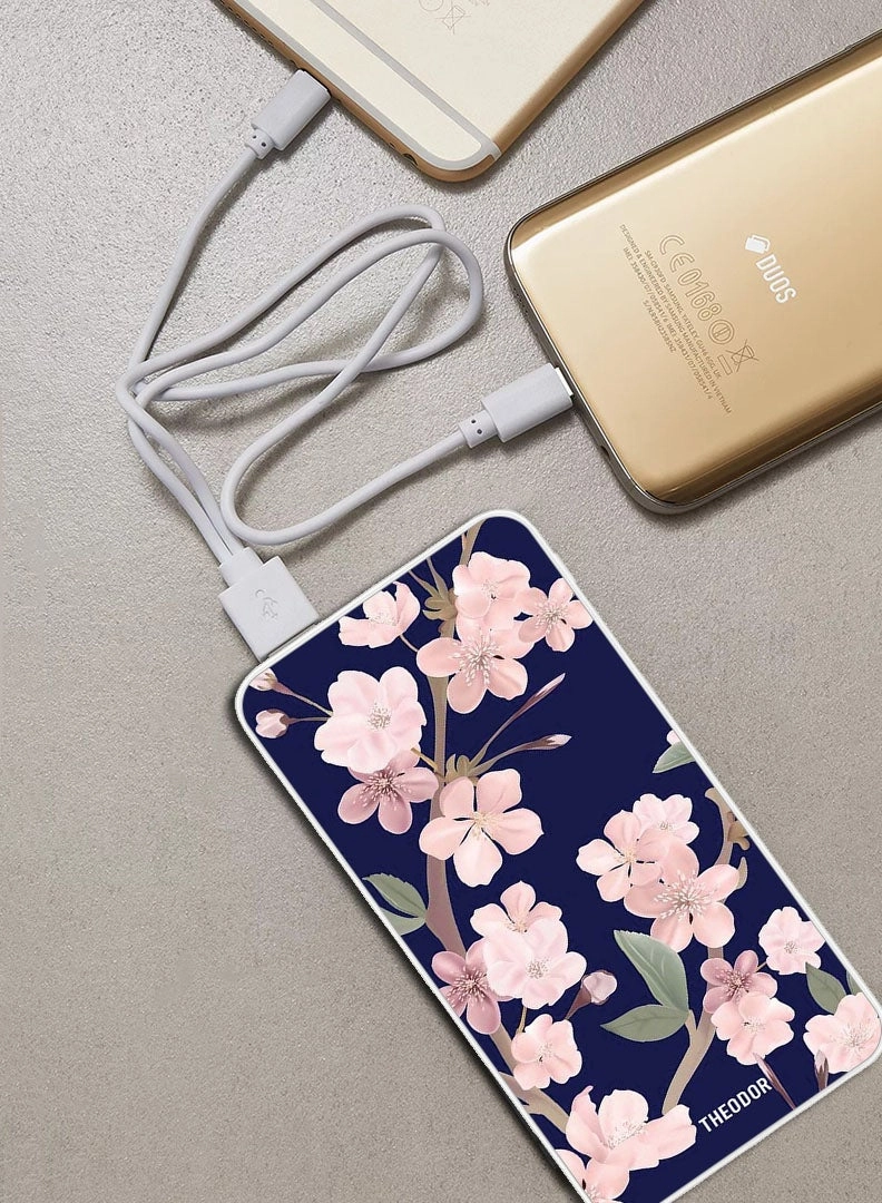 EX_PPBA439 - 10000 mAh 18W