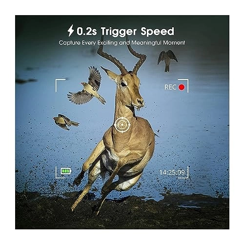 Wildlife Camera - 20MP