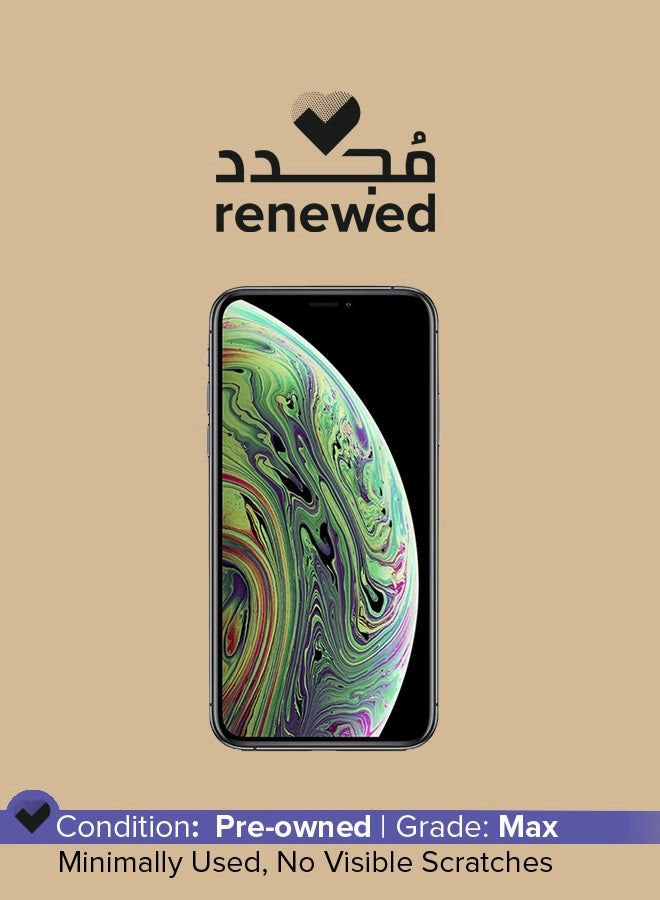 (Renewed) iPhone XS - 256GB