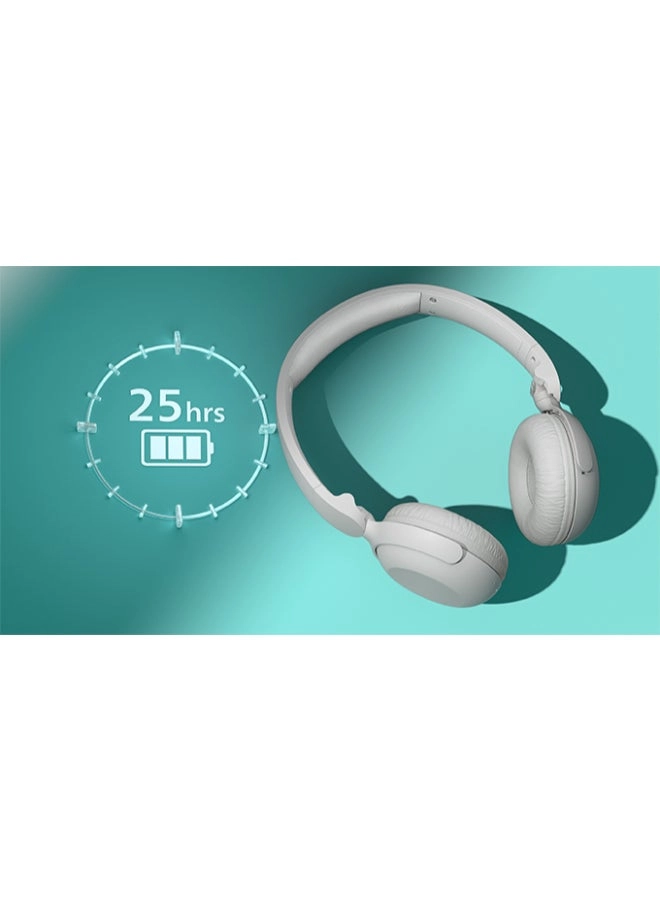 TAH2209 Wireless Headphone