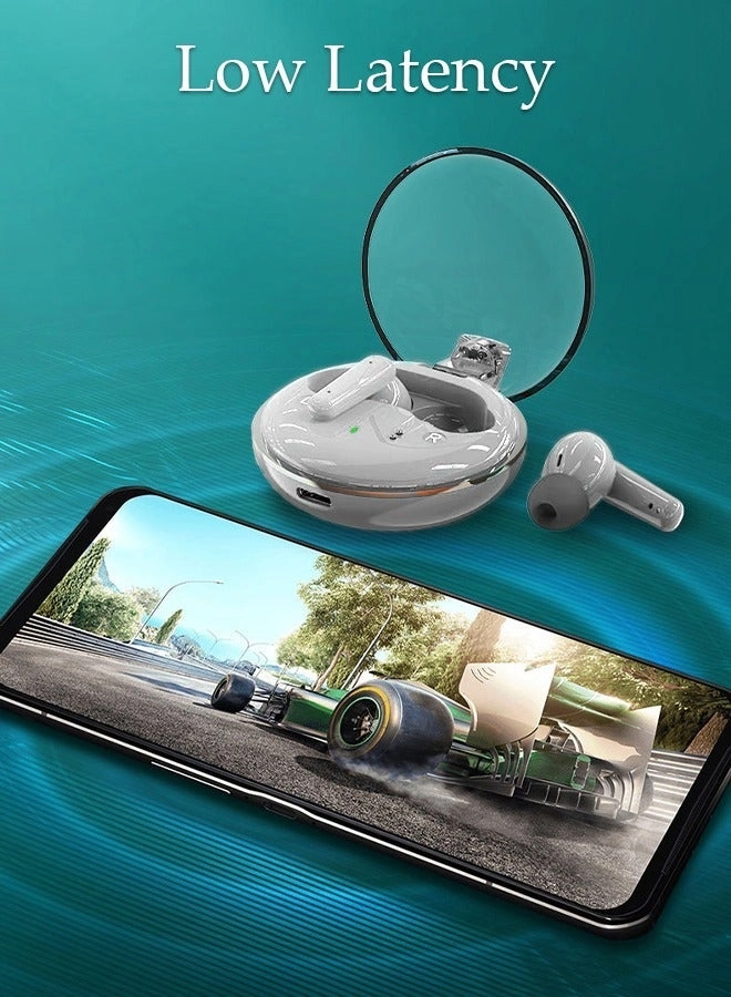 DU3713 Wireless Earbud