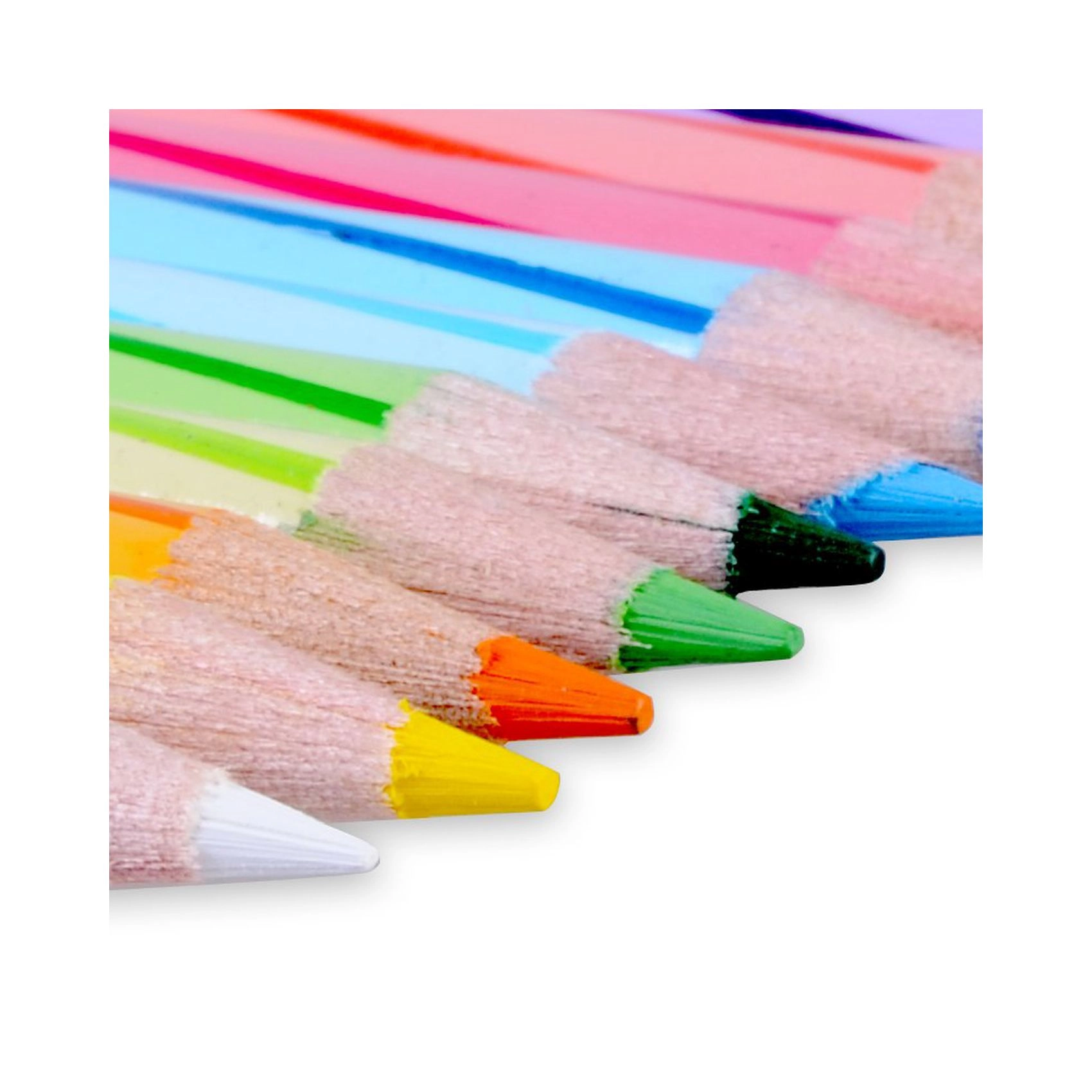 Luna Colour Pencil Cylinder - Pack of 12