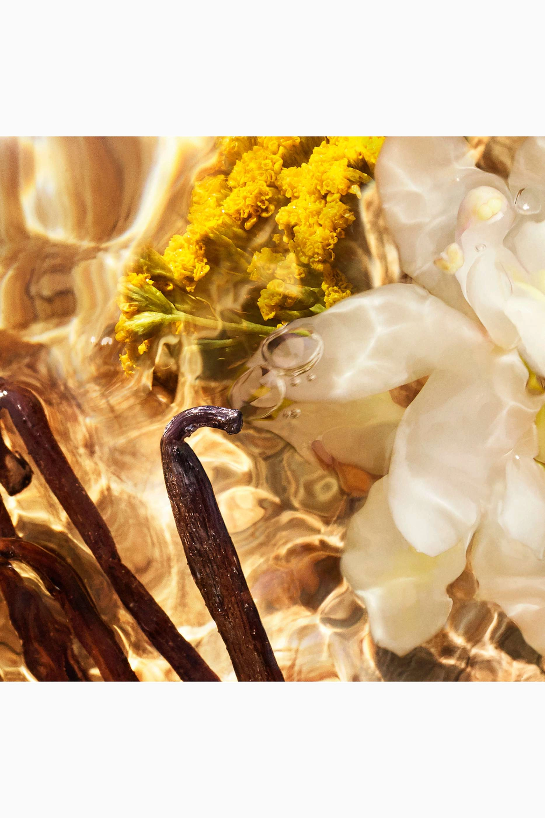 Aqua Allegoria Forte Bosca Vanilla Eau de Parfum 125 ml