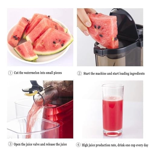 Slow Squeezing Machine - 150W 1000 ml