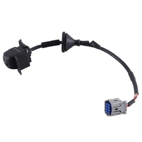 Reversing Camera - Night vision