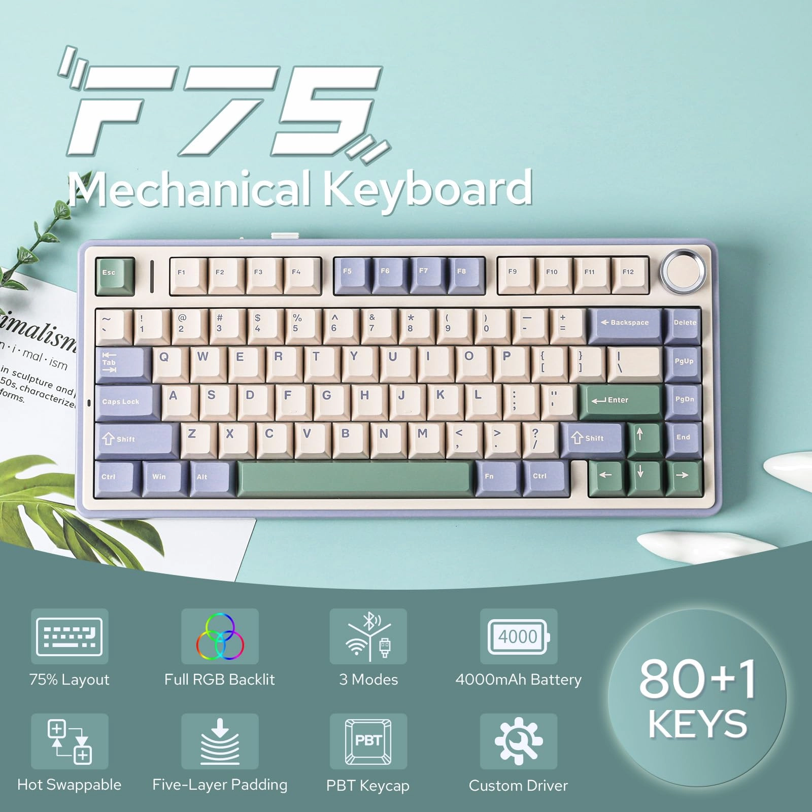 Aula F75 - QWERTY Wired/Wireless