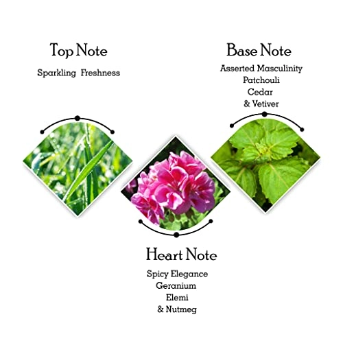 Bogart Story Green - Eau de Toilette 100 ml