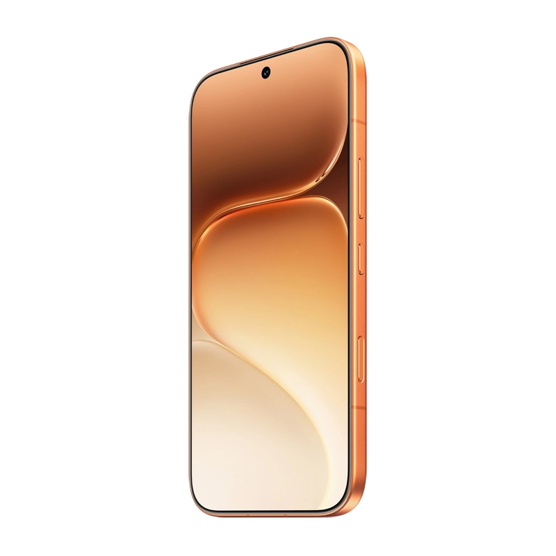 600 pro 12GB 512GB