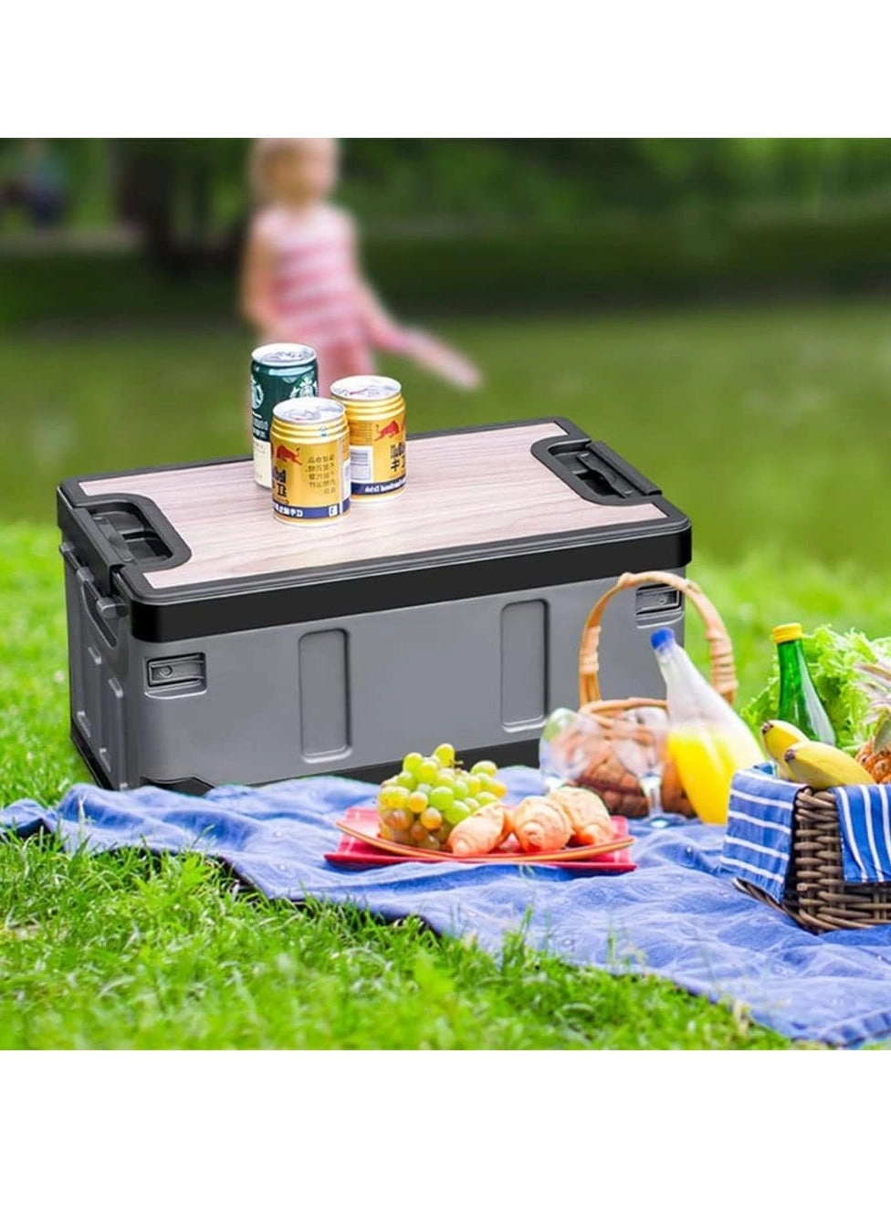 Camping Folding Storage Box - 35L