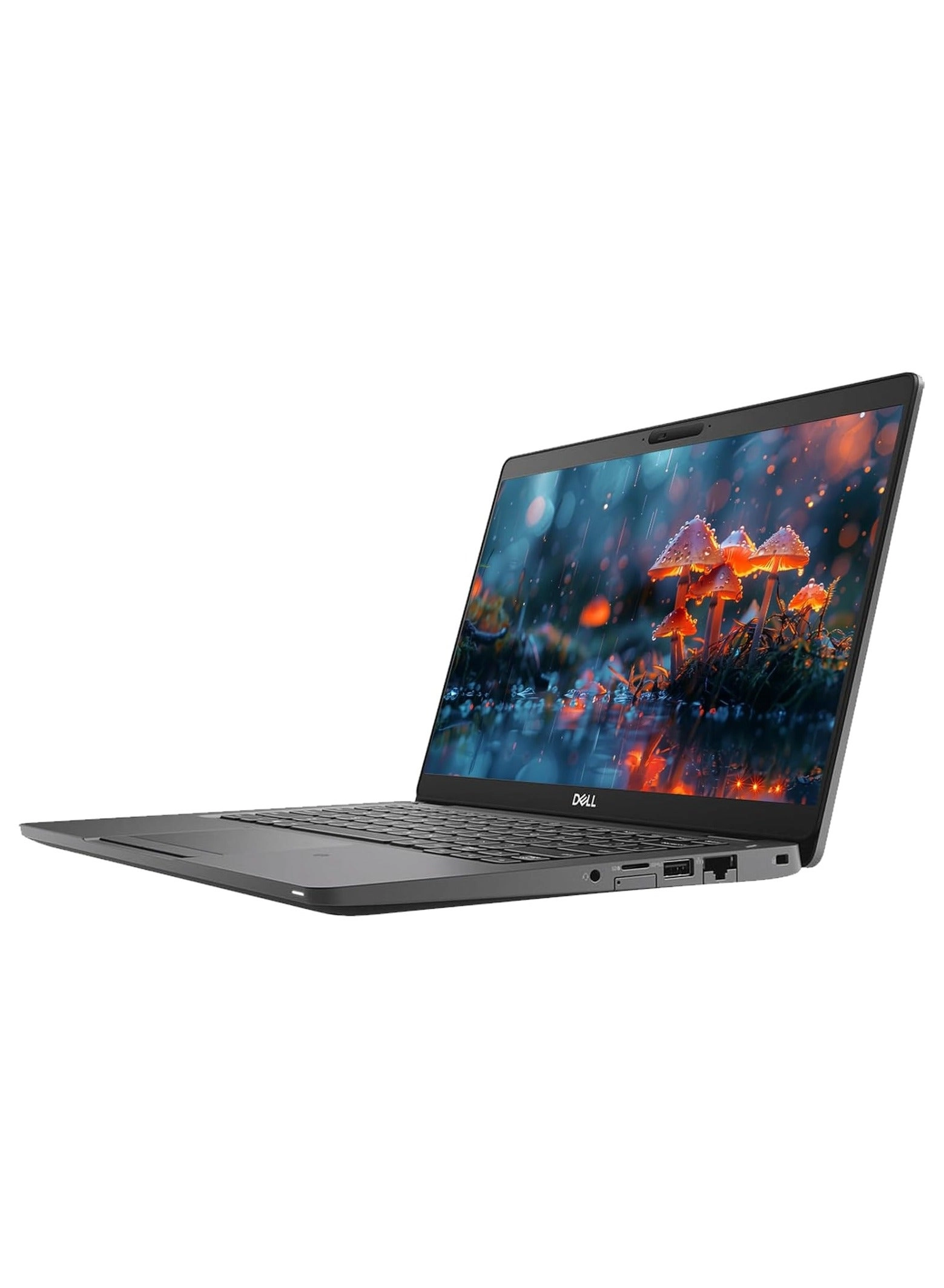 Latitude 5300 - 13.3'' Core i5-8365U 12GB DDR4 256GB SSD