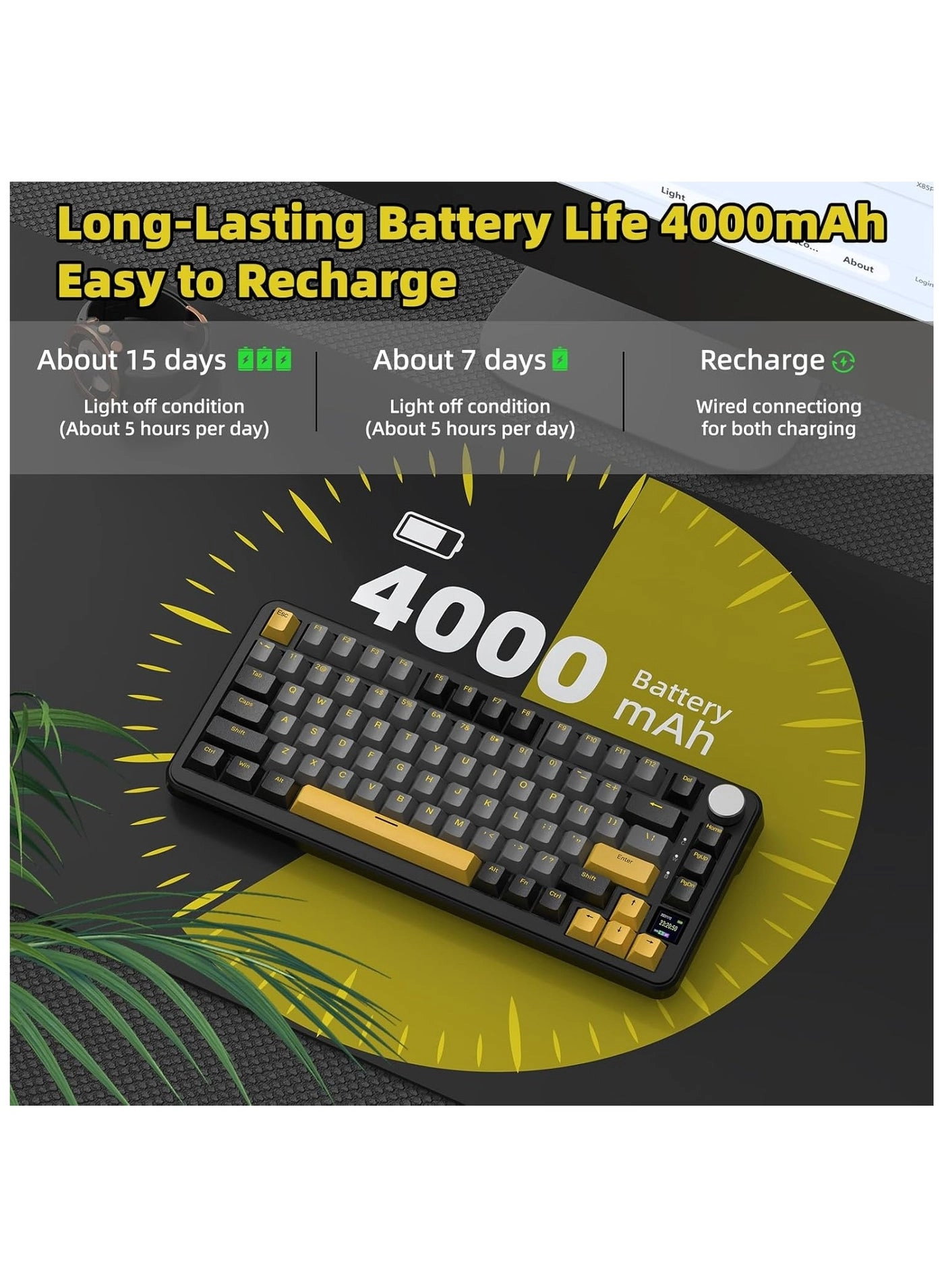 AK820PRO - EN Wired/Wireless