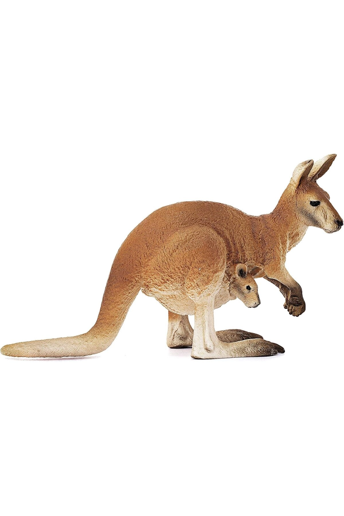 Kangaroo - 3 yr 1 Piece (13 cm) (4005086147560)