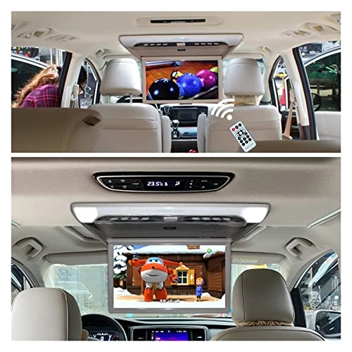 Car Ceiling Display - 19 Inch